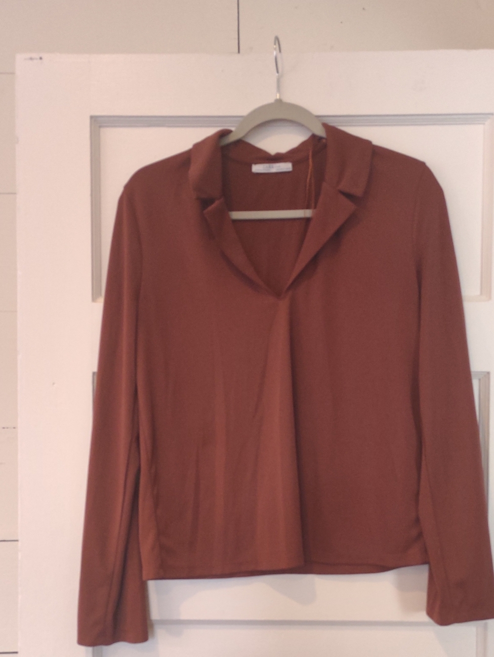 Zara Rust Collared Long-Sleeve Tee